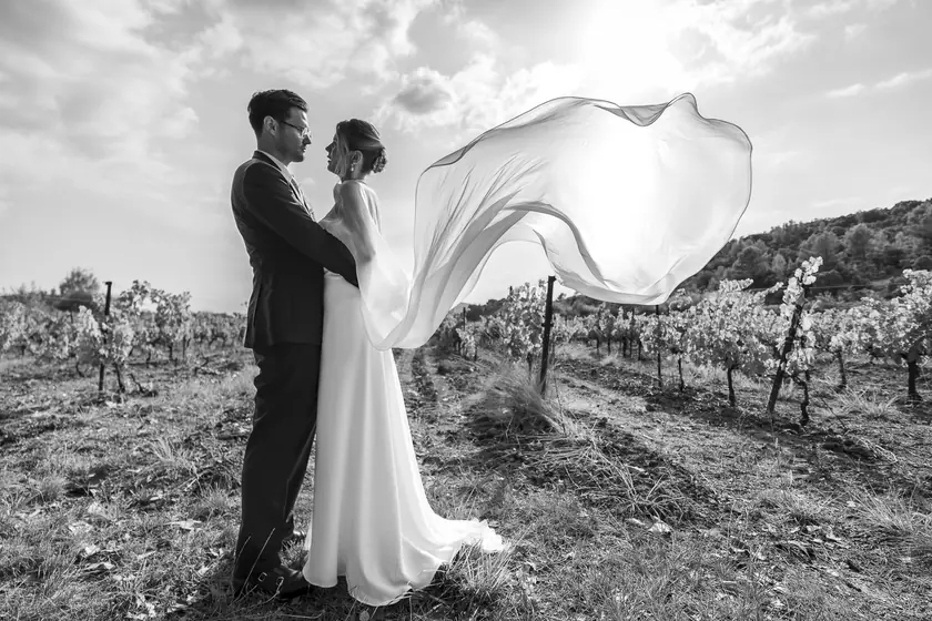 Mariés enlacés dans les vignes, voile soulevé par le vent
