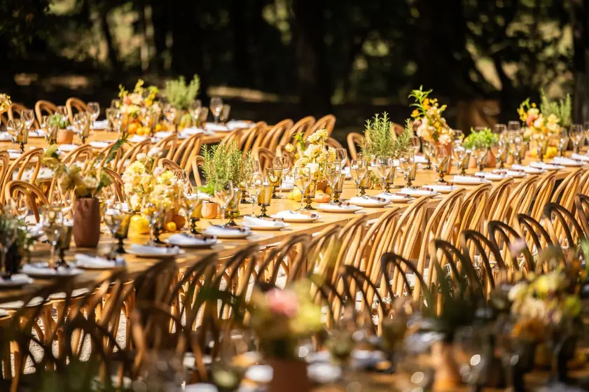 Table de banquet fleurie de bouquets jaunes et chaises en bois en perspective