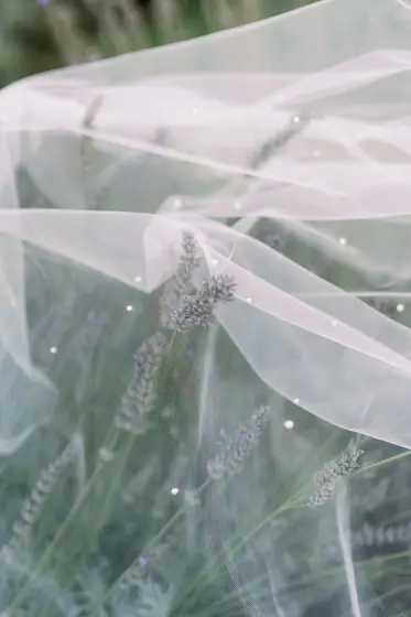 Voile transparent posé sur de la lavande