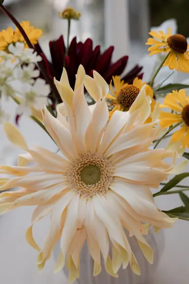 Gerbera crème et fleurs jaunes d'une décoration florale