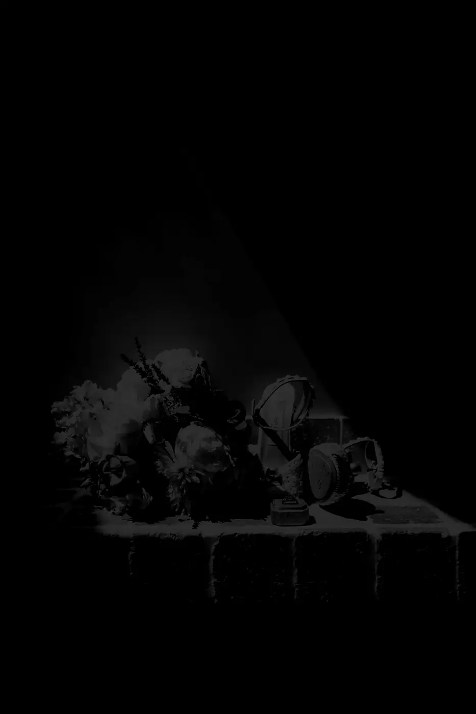 Un faisceau de lumière traverse l'obscurité et éclaire un bouquet